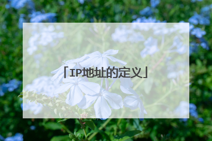 IP地址的定义