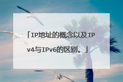 IP地址的概念以及IPv4与IPv6的区别。