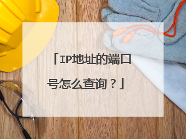 IP地址的端口号怎么查询？