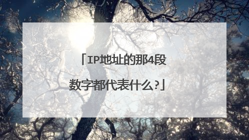 IP地址的那4段数字都代表什么?