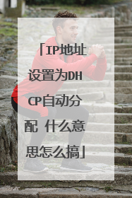 IP地址设置为DHCP自动分配 什么意思怎么搞