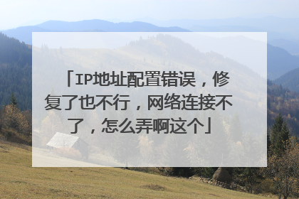 IP地址配置错误,修复了也不行,网络连接不了,怎么弄啊这个
