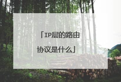 IP层的路由协议是什么