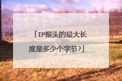IP报头的最大长度是多少个字节?