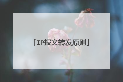 IP报文转发原则