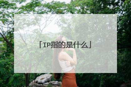 IP指的是什么