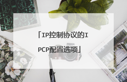 IP控制协议的IPCP配置选项