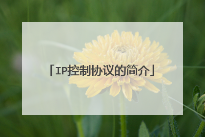 IP控制协议的简介