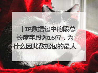 IP数据包中的段总长度字段为16位,为什么因此数据包的最大长度就是65535字节,计算公式是(2∧16-1)