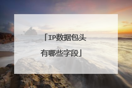 IP数据包头有哪些字段