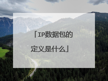 IP数据包的定义是什么