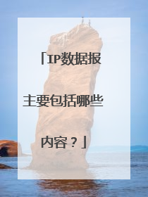 IP数据报主要包括哪些内容？
