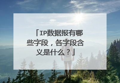 IP数据报有哪些字段，各字段含义是什么？