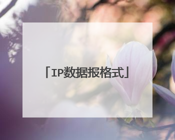 IP数据报格式