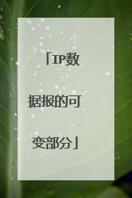 IP数据报的可变部分