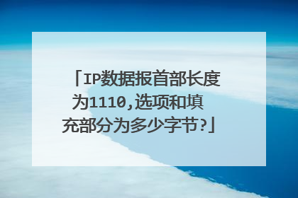 IP数据报首部长度为1110,选项和填充部分为多少字节?