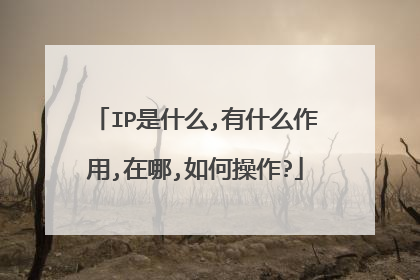 IP是什么,有什么作用,在哪,如何操作?