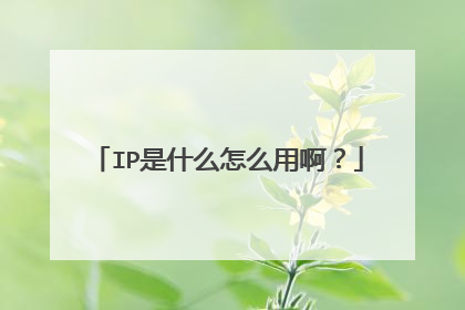 IP是什么怎么用啊？
