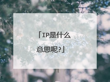 IP是什么意思呢?