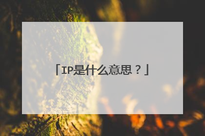 IP是什么意思?