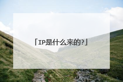 IP是什么来的?