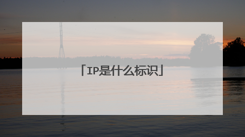 IP是什么标识