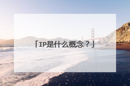 IP是什么概念?