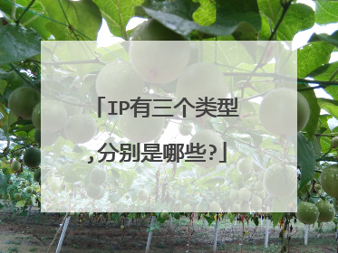 IP有三个类型,分别是哪些?