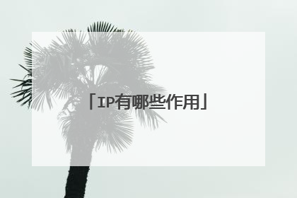 IP有哪些作用