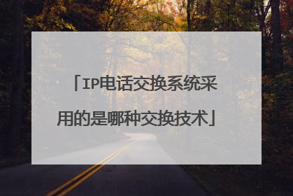 IP电话交换系统采用的是哪种交换技术