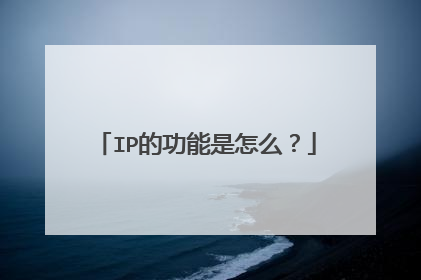 IP的功能是怎么？