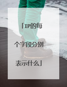 IP的每个字段分别表示什么