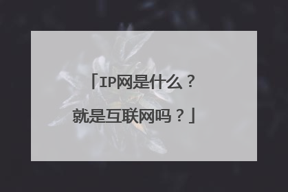 IP网是什么?就是互联网吗?
