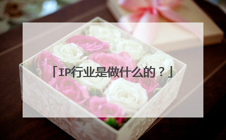 IP行业是做什么的?
