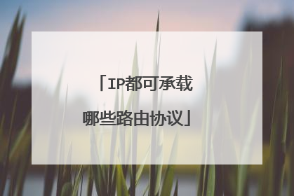 IP都可承载哪些路由协议