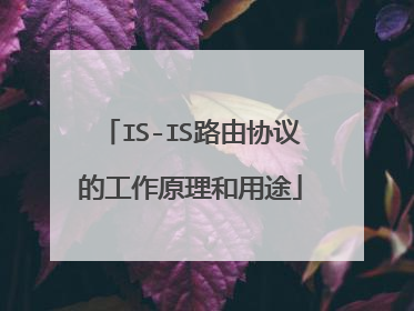 IS-IS路由协议的工作原理和用途