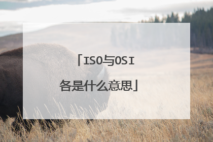 ISO与OSI各是什么意思