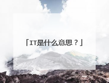 IT是什么意思？