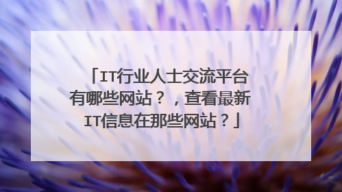 IT行业人士交流平台有哪些网站？，查看最新IT信息在那些网站？