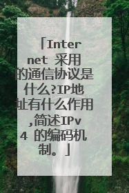 Internet 采用的通信协议是什么?IP地址有什么作用,简述IPv4 的编码机制。