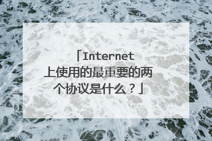 Internet上使用的最重要的两个协议是什么?