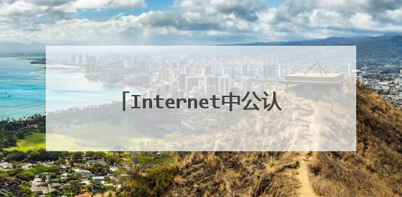 Internet中公认的协议标准是什么?它的四层体系结构是哪些?常见的Internet提供