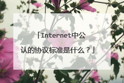 Internet中公认的协议标准是什么？