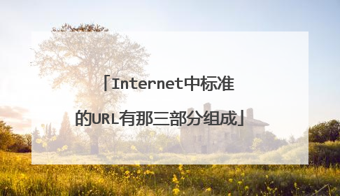 Internet中标准的URL有那三部分组成