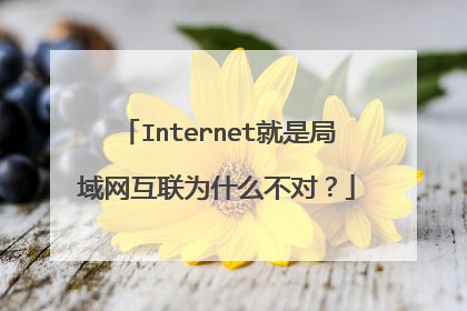 Internet就是局域网互联为什么不对？
