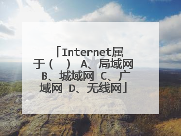 Internet属于（ ） A、局域网 B、城域网 C、广域网 D、无线网