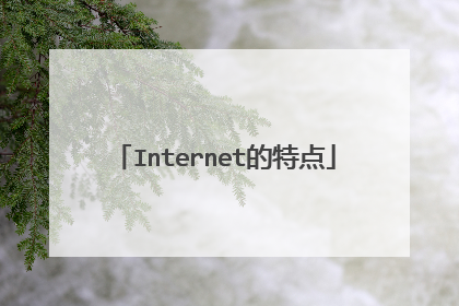 Internet的特点
