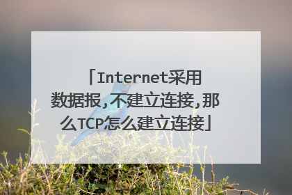 Internet采用数据报,不建立连接,那么TCP怎么建立连接