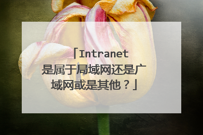 Intranet是属于局域网还是广域网或是其他？