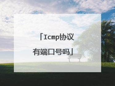 Icmp协议有端口号吗